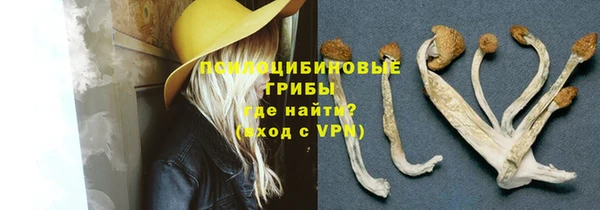 шишки Белоозёрский