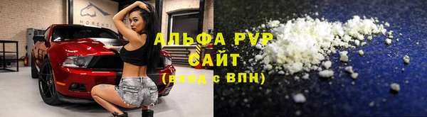 гашик Белокуриха