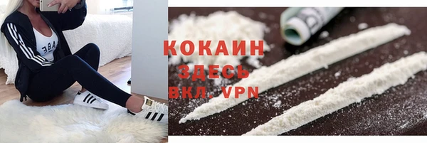 шишки Белоозёрский