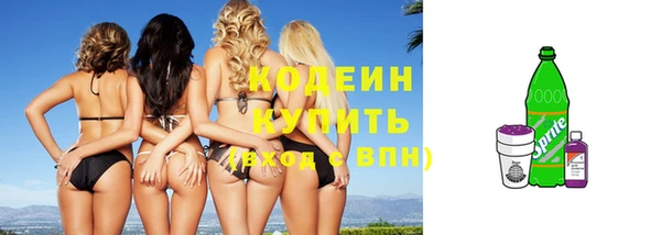 гашик Белокуриха
