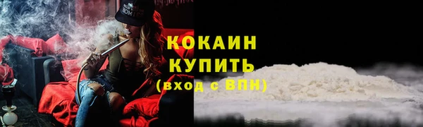 шишки Белоозёрский