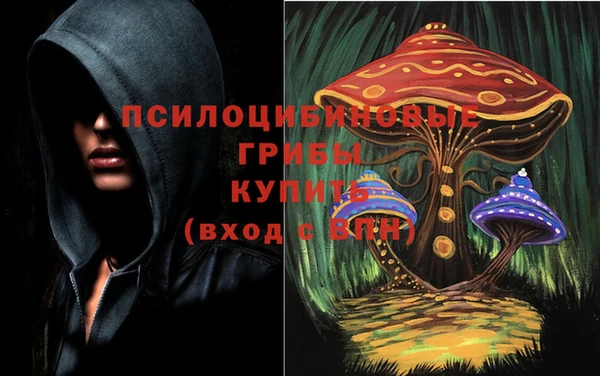 гашик Белокуриха