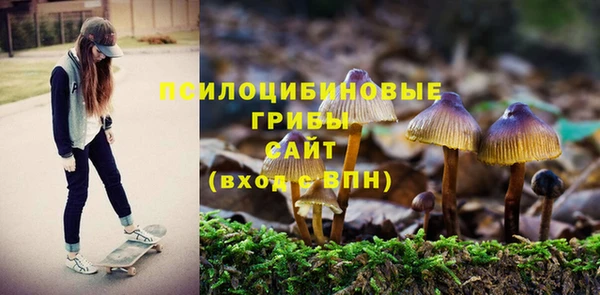 гашик Белокуриха