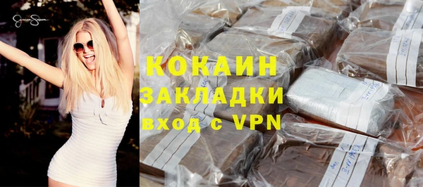 шишки Белоозёрский