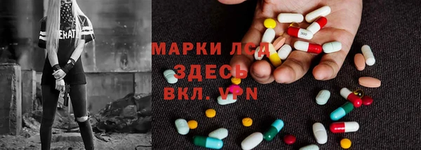 гашик Белокуриха