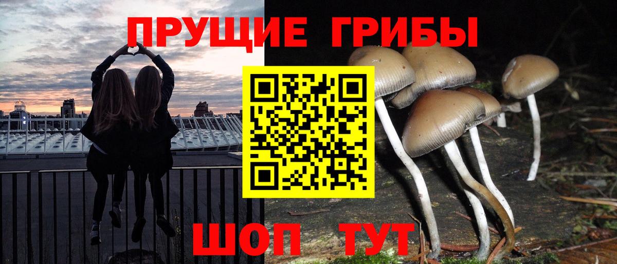 Великие Луки  Галлюциногенные грибы мицелий  Вход с VPN 