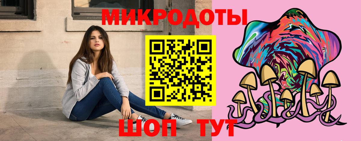 Псилоцибиновые грибы прущие грибы Великие Луки